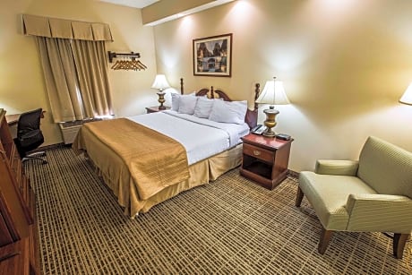 1 King Bed, Suite, Nonsmoking