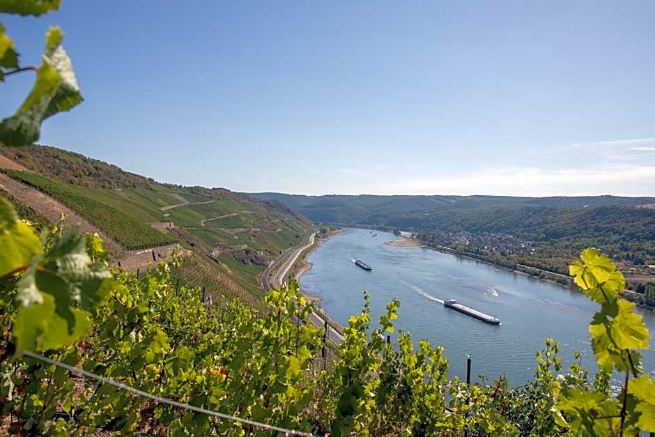 Baudobriga Rheinhotel