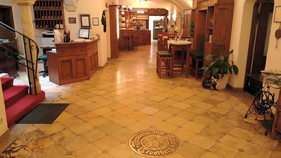 Altstadt- und Businesshotel Pfaubräu - Brauereigasthof - Frühstücksbuffet - kostenfreie Radgarage - Hunde willkommen