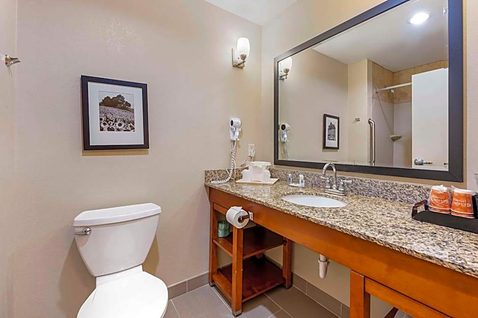 Comfort Suites East Lincoln - Mall Area