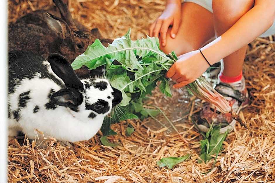 Familienhotel Oberkarteis