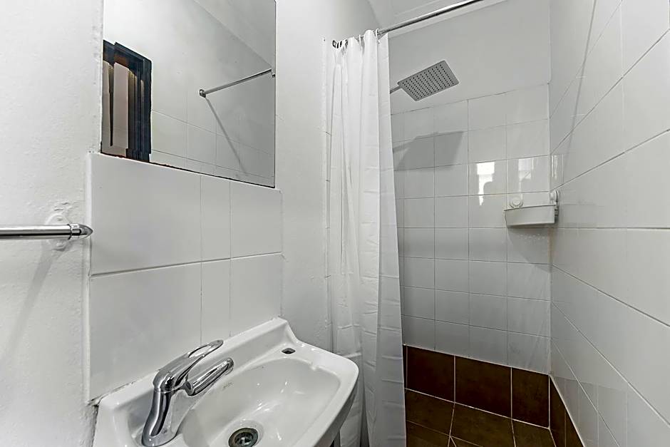 London Plane Backpackers