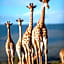 Kwandwe Private Game Reserve - Fort House