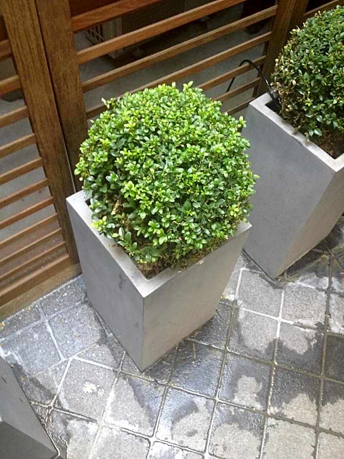 Hotel Elysees Flaubert