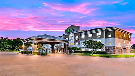 Holiday Inn Express Palestine By IHG