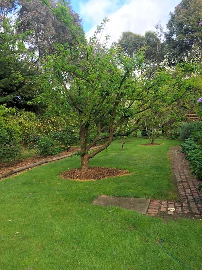 Sherwood Park bed and breakfast