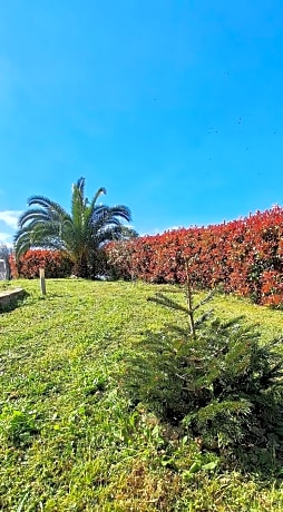 La Bella Addormentata