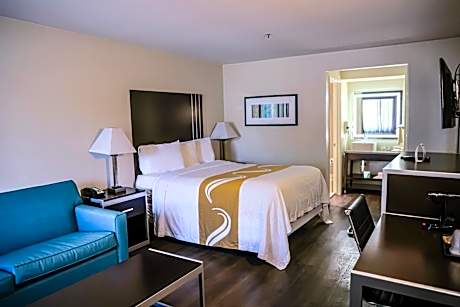 Suite, 1 King Bed with Sofa Bed, Non Smoking