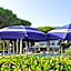 Hotel King