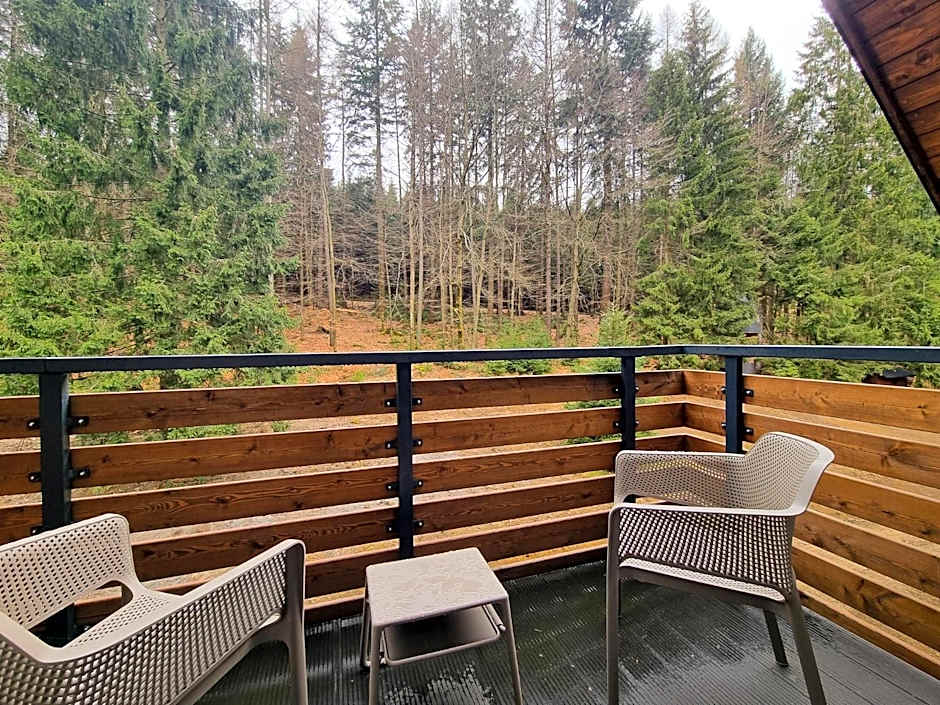 DAS ERZ Medical Spa & Hotel
