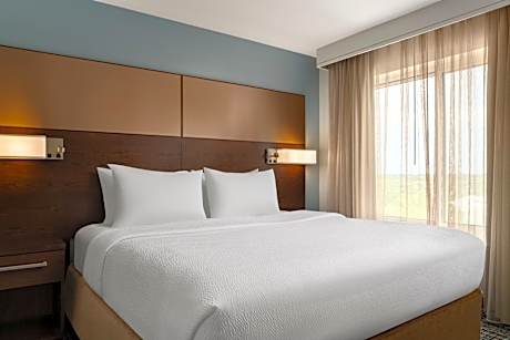 1 Bedroom Suite, 1 King, Sofa bed