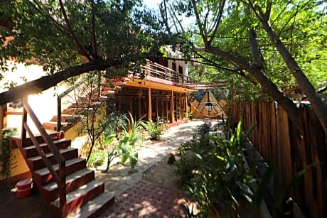 Casa AVA
