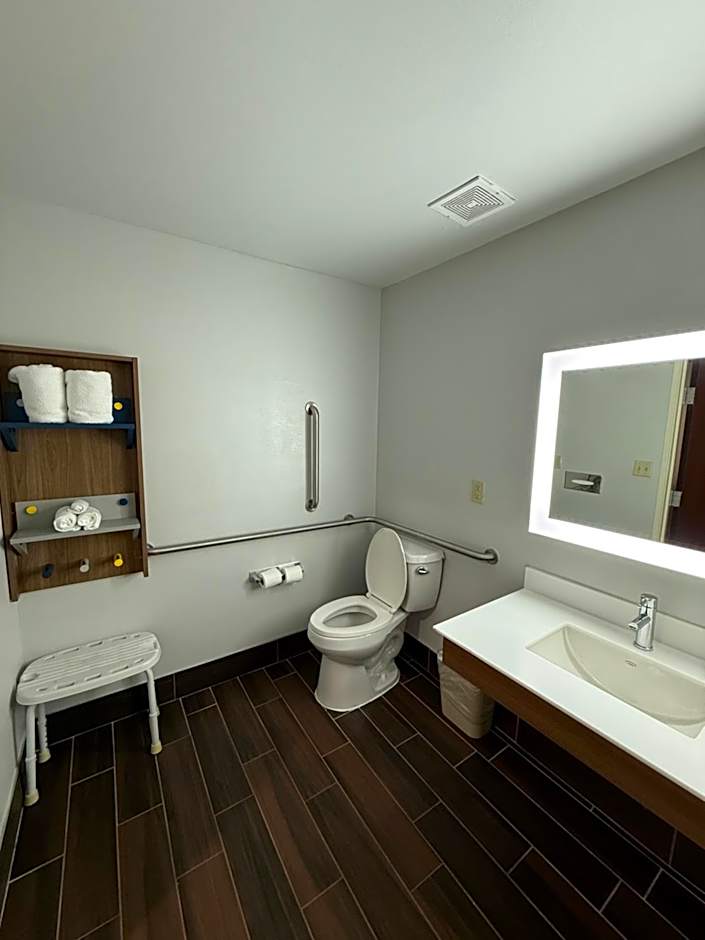 Microtel Inn & Suites by Wyndham Baton Rouge Airport