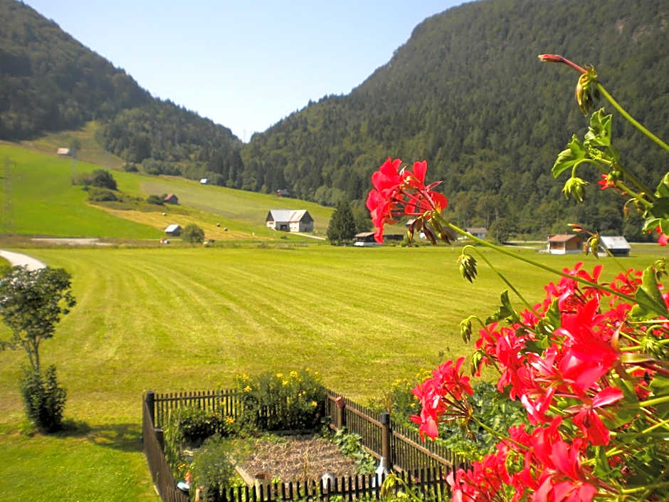 Affittacamere Krajnc