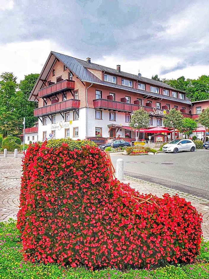 Wochner's Hotel-Sternen Am Schluchsee Hochschwarzwald