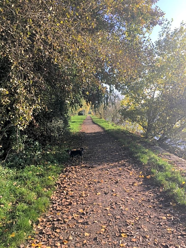 Schmuckkästle am Hafen