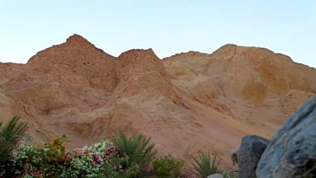 Twin Room with Mountain View