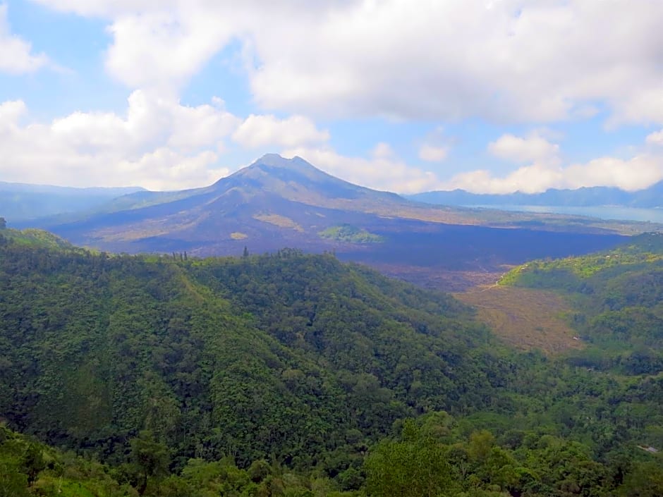 TEGAL SARI, Pemuteran- North Bali