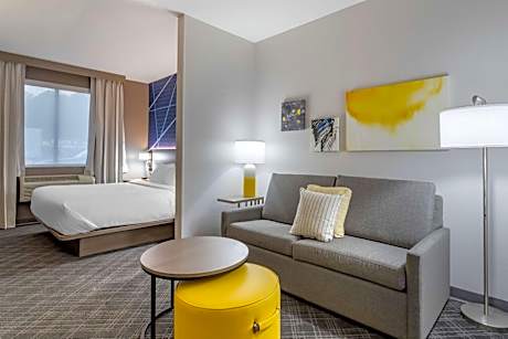 1 King Bed, Suite, Nonsmoking