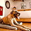 Petit Mesón (Pet Friendly Hotel)
