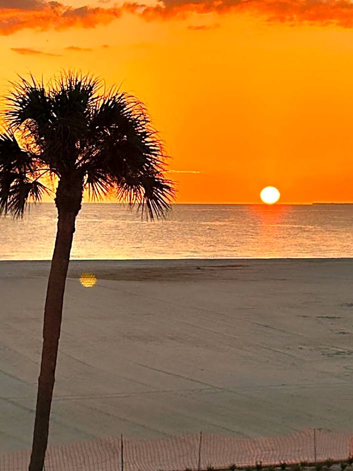 Always Summer On a White Sandy Beach