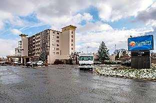 1 Bedroom Suite