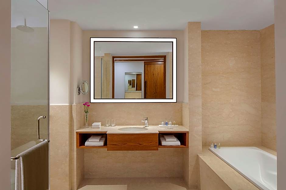 Radisson Blu Plaza Hotel Mysore