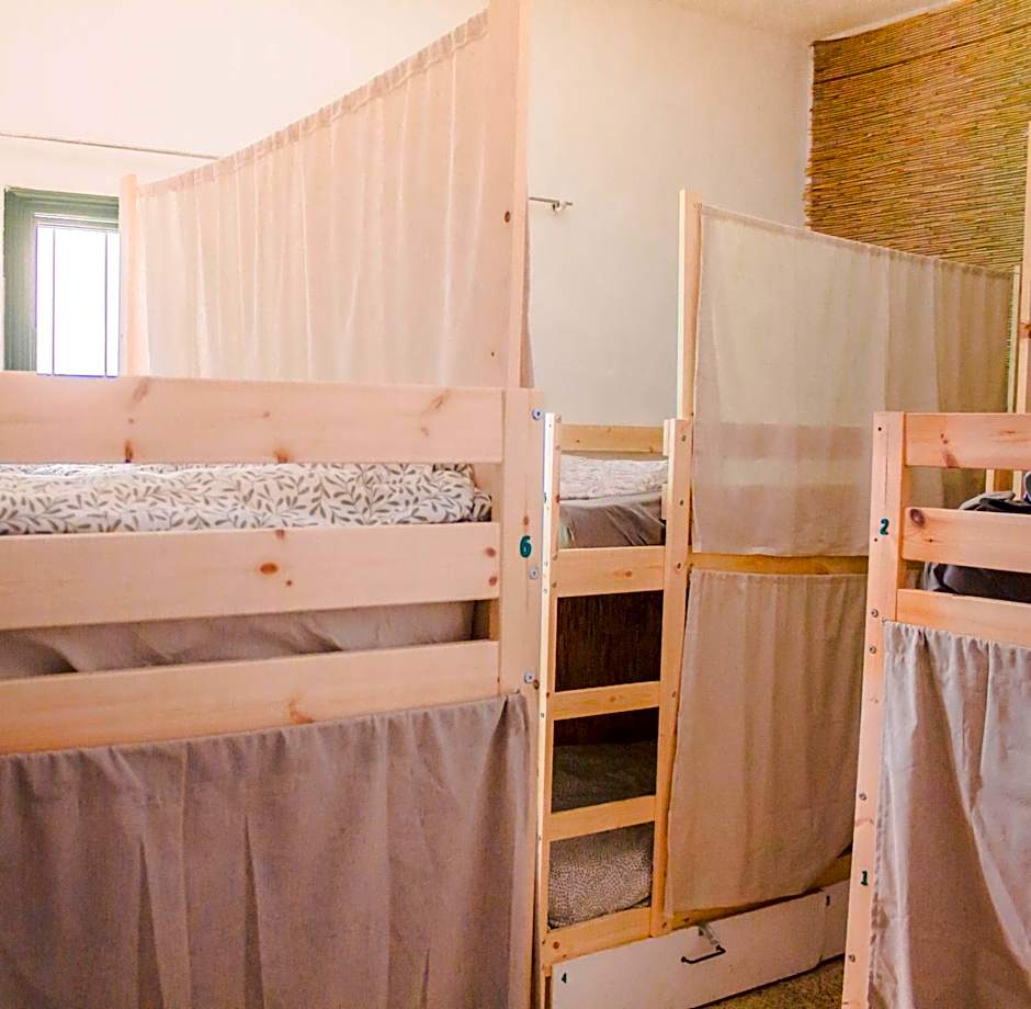 Single Fin Surf Hostel