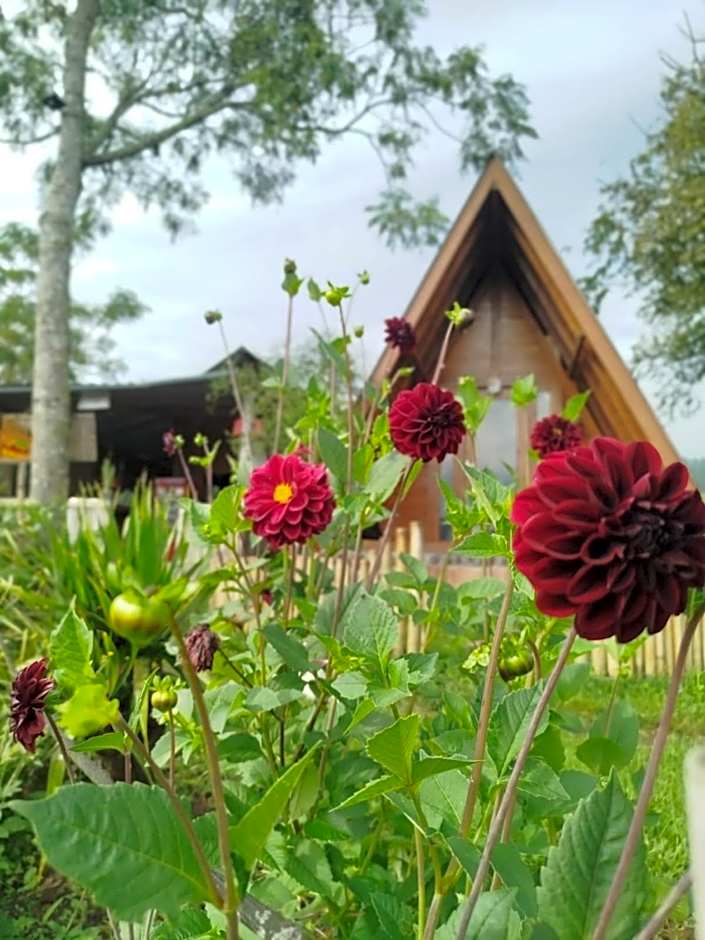 Kintamani Adventure 'Hide Away In Kintamani