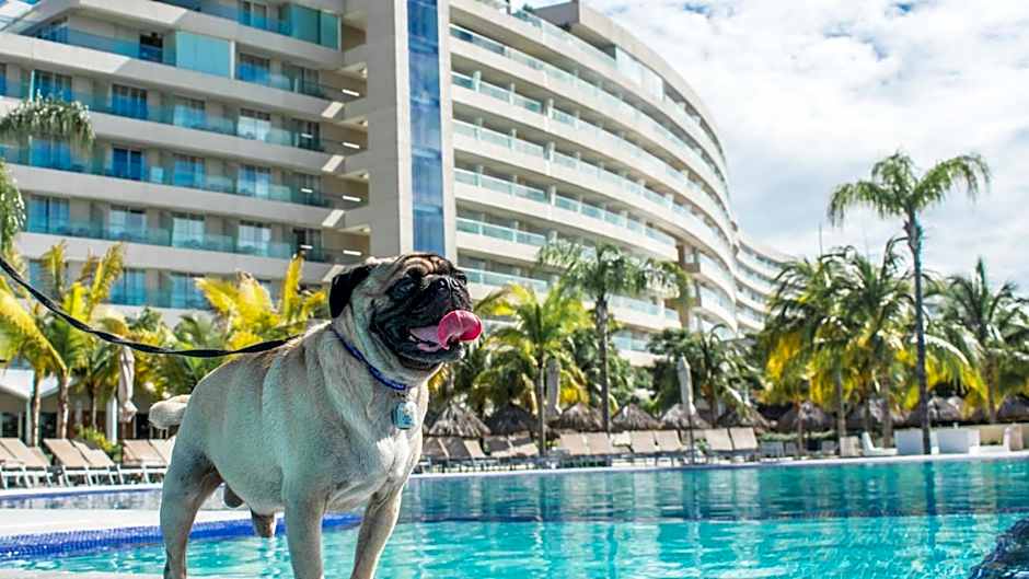 Palacio Mundo Imperial Riviera Diamante Acapulco All Inclusive