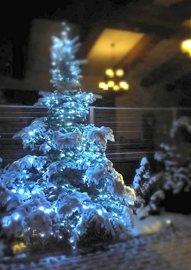 Mevo Apartament - Apartamenty 4 -6 osobowe