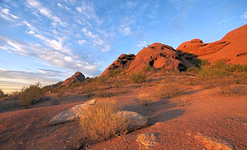 Hyatt Place Tempe Phoenix Airport