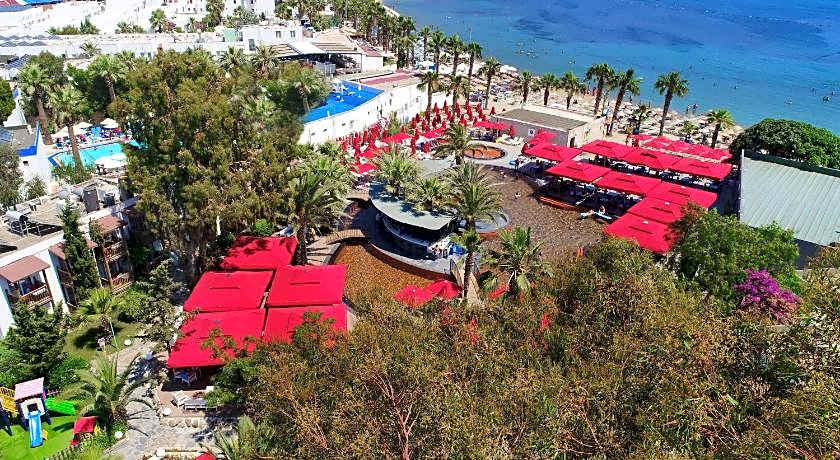 Very Chic Adult Only 18 