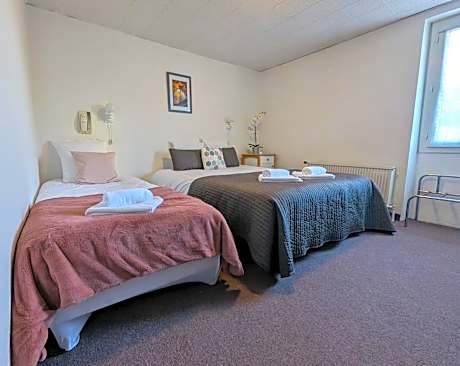 Triple Room with Shared Toilet