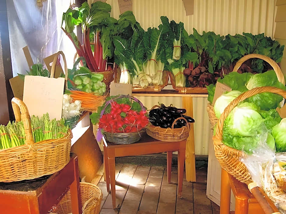 Bowral Road Bed and Breakfast
