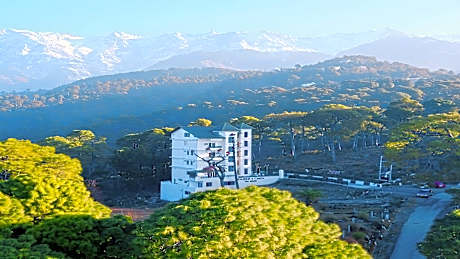 Hotel Sahebs Castle McLeodganj