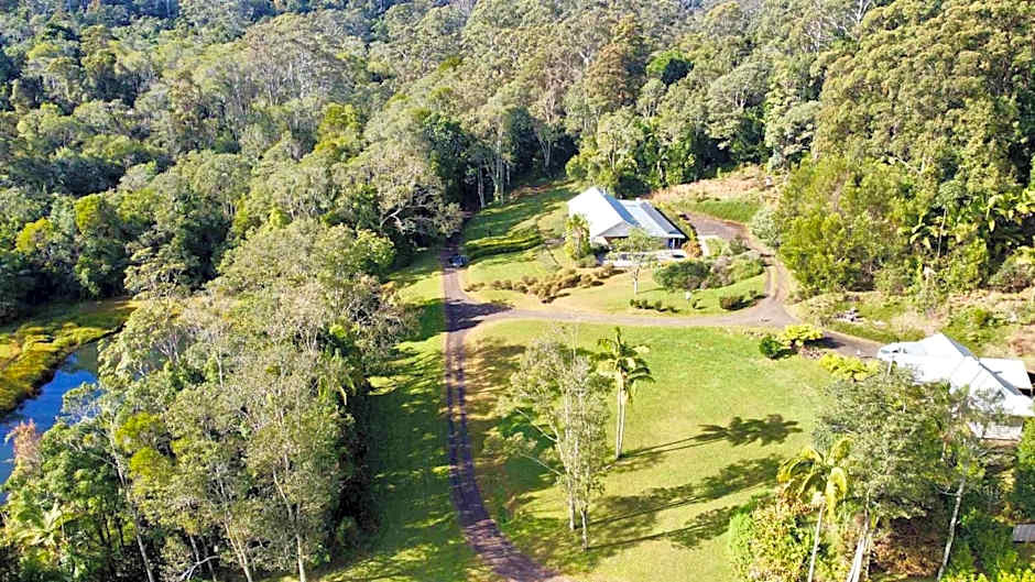 Nightcap Ridge - Byron Bay Hinterland