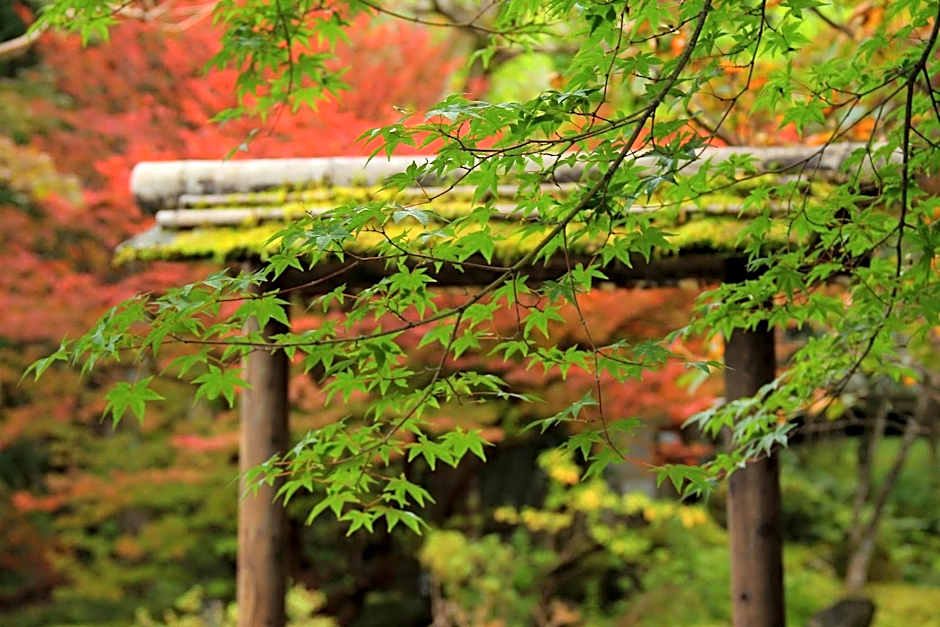 Nikko Hoshino Yado