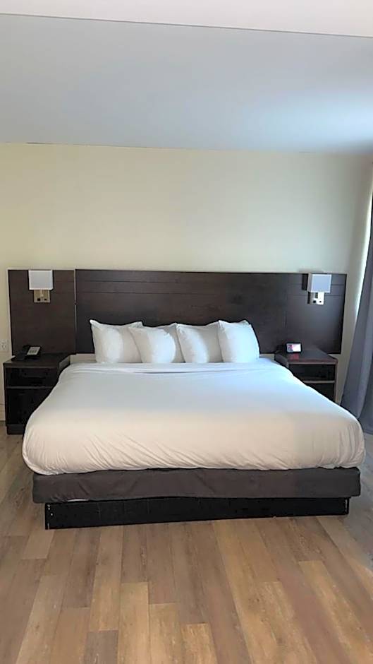 Hotel Newstar Montreal