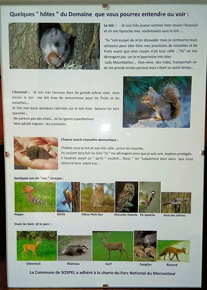 Domaine du Paraïs B&B