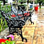 Hotel La Fuente, Saltillo