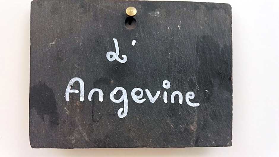 Domaine du Plessis Grimaud