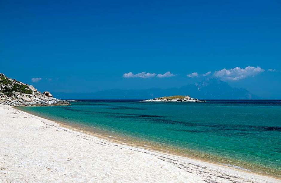 VSP RENT ROOMS FUeGO