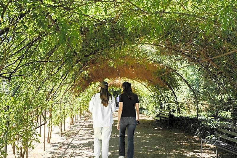 Adelaide Caravan Park - Aspen Holiday Parks