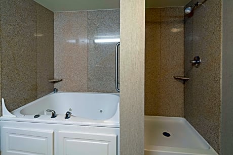 1 King Accessible Roll In Shower Non-Smoking