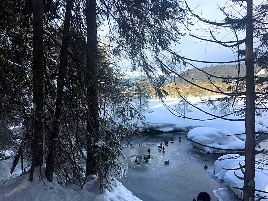 LakeSide Apartments Seefeld