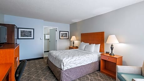 Accessible - 1 Queen  Mobility Accessible Communication Assistance Walk In Shower Non-Smoking Full B