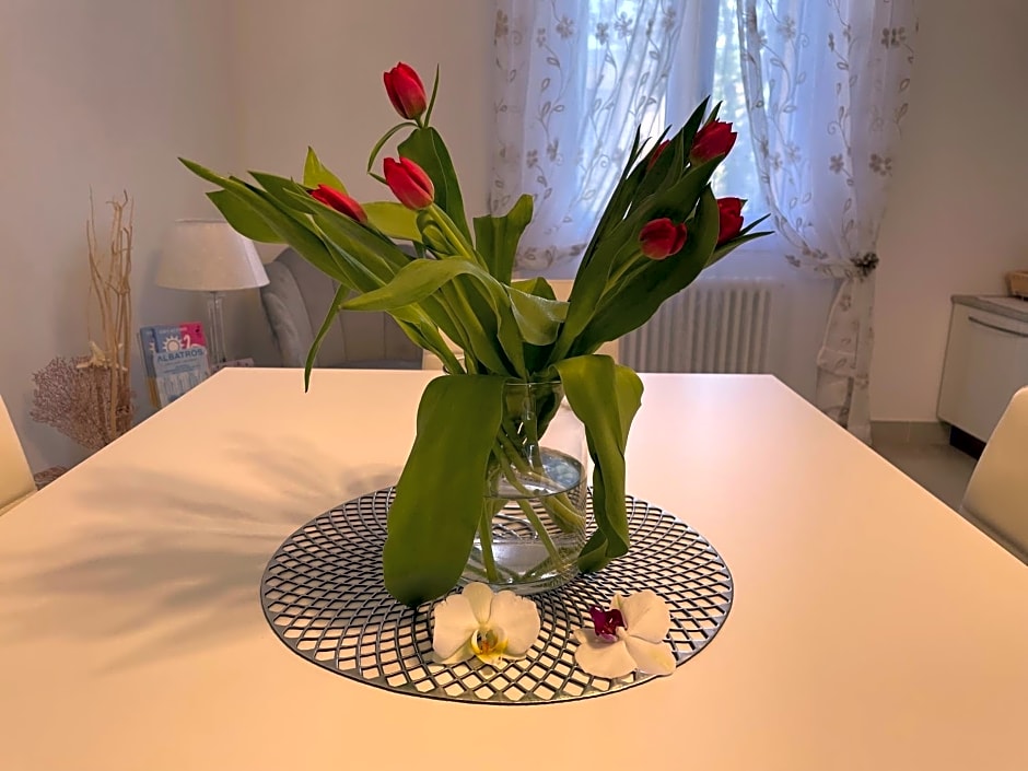 La casa di Celeste B&B