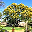 Club Boutique Hotel Cunnamulla