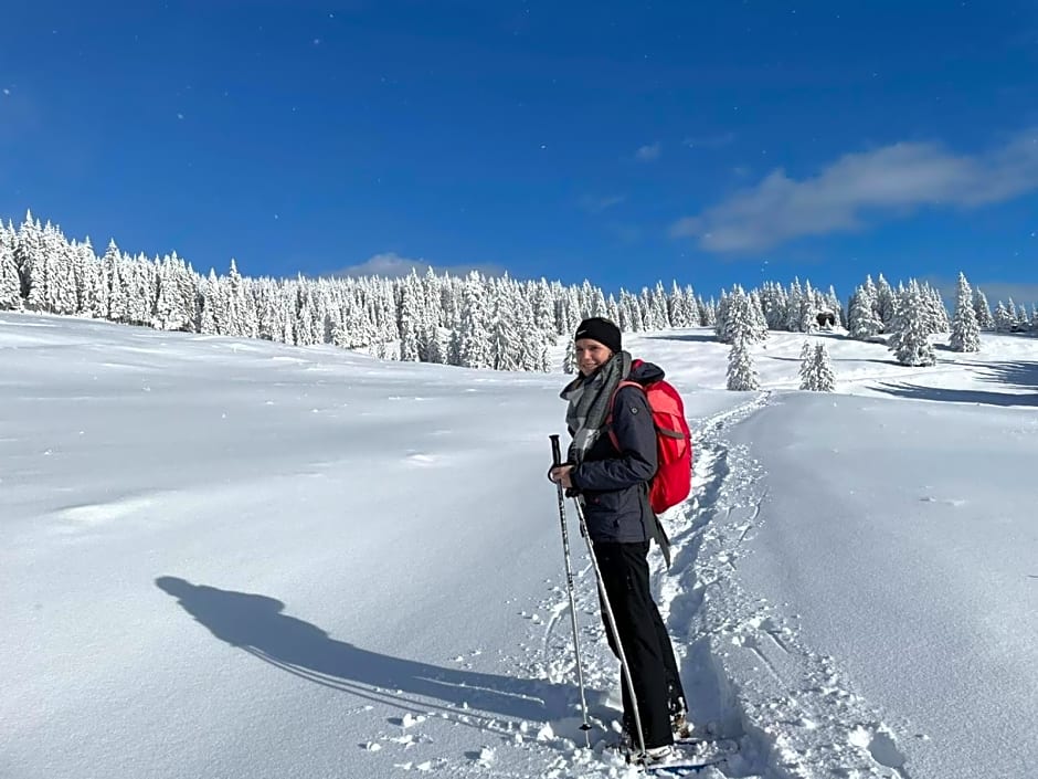 Apartments im Almhaus Bachler
